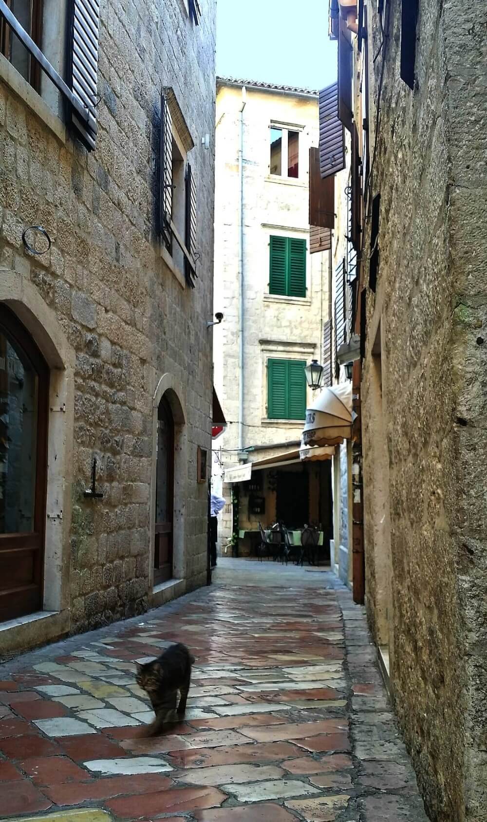 Montenegro_Kotortown_streetview_catwalk