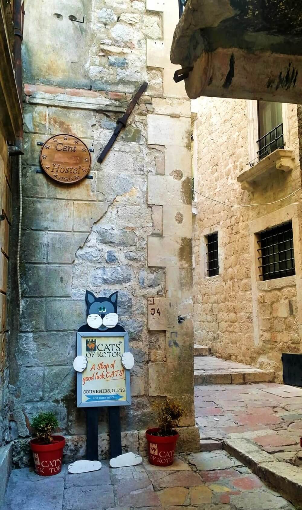 Montenegro_Montenegro_Kotortown_cat_souvenir_shop