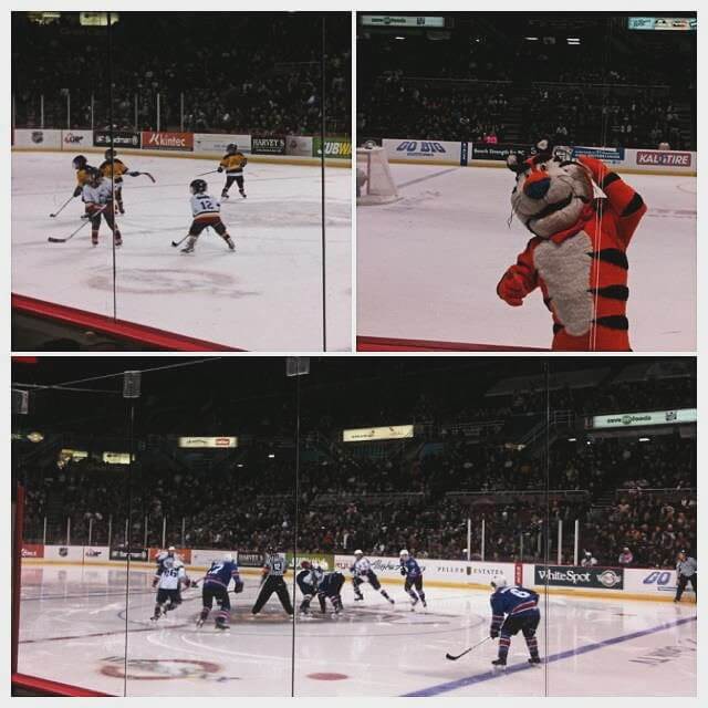 看了一場青年級別的西部冰球聯盟（WHL），現場座無虛席，比賽從頭到尾絕無冷場，就連中場休息時間，小球員的友誼賽也十分精彩。