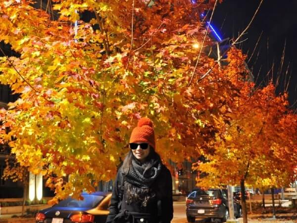 漫步在溫哥華的街道上，看見一整排美麗的楓葉樹。